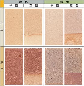 �����򓧖���