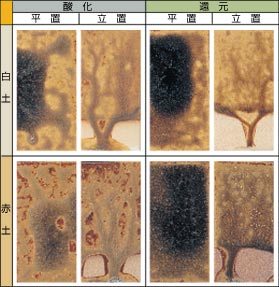 ���ɗ�����