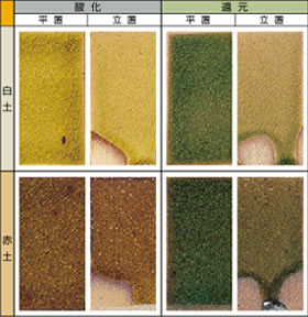 �΃r�[�h����